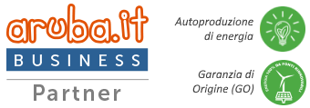Aruba Business Partner